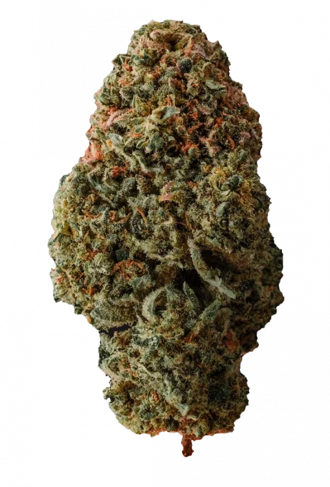 Candy Kush