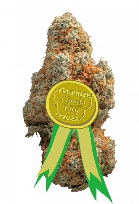Gorilla Mandarine