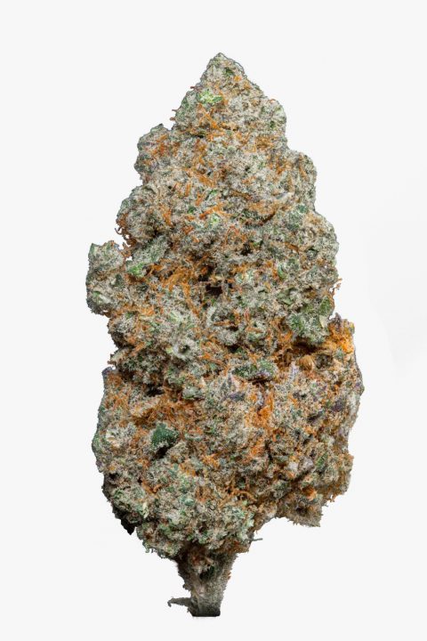 Mela Sour