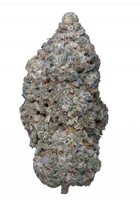 Legendary Skunk