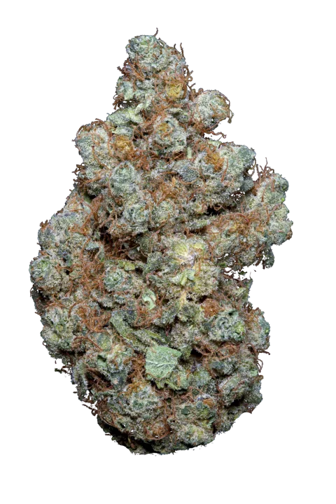 Strawberry Payton