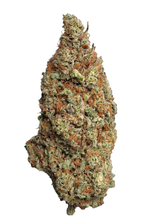 God Father OG