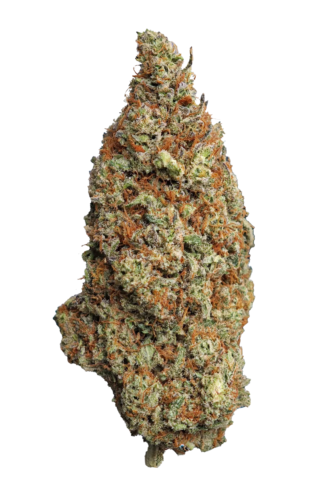 God Father OG