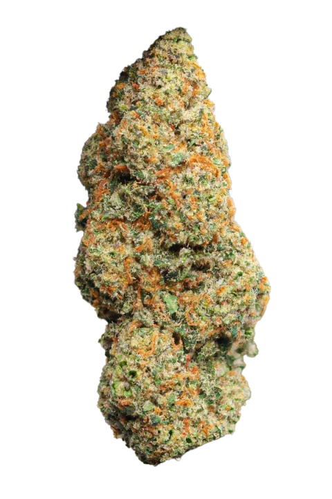 Bubbles Cheese